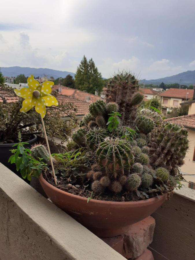 Locazione Turistica Chichibio Apartment ปิสโตยา ภายนอก รูปภาพ